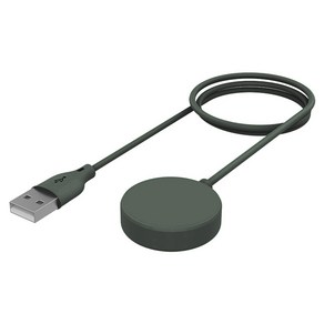 랩씨 갤럭시 워치 무선 충전기 케이블, USB-A 그린