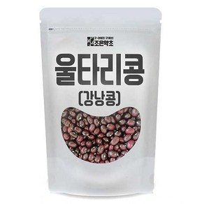 조은약초 울타리 강낭콩 500g, 1개