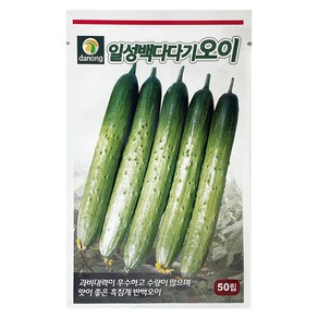 다농 일성 백다다기 오이 흑침 씨앗 50p, 1개