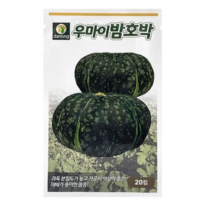 다농 우마이밤호박 씨앗 20p, 1개