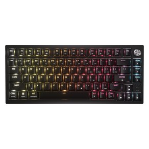 커세어 K65 RGB PLUS 무선 핫스왑 게이밍 기계식 키보드 영문, 블랙, RGP0156, 황축