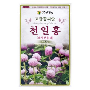 다농 천일홍 왜성분홍색 씨앗 100p