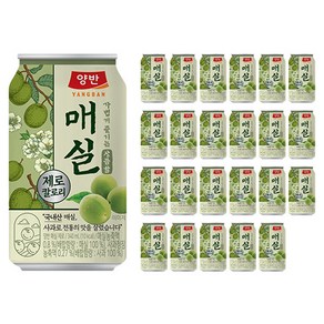 양반 매실 제로, 24개, 340ml