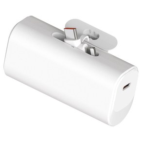 발란드 고속 2in1 미니 도킹형 일체형 보조배터리 5000mAh C타입 8핀, 화이트, BLD-PD-2IN1-5000