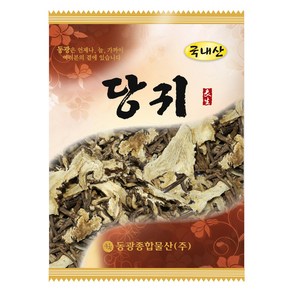 동광종합물산 당귀 국내산, 100g, 1개