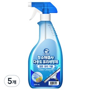 청소해결사 다용도 유리세정제, 600ml, 5개