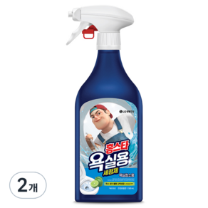 홈스타 맥스프레쉬 욕실청소용 세정제, 500ml, 2개