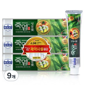 죽염 잇몸고 치약, 120g, 9개