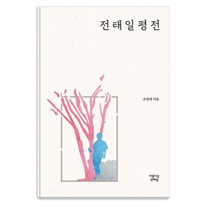 전태일평전