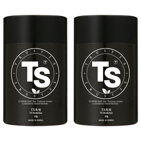 TS 흑채 23g, 검정색, 2개