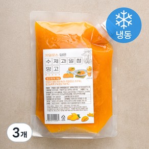 자일로스 담은 수제과일청 망고 (냉동), 1kg, 3개