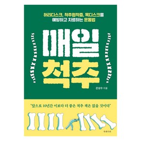 [북레시피]매일 척추 : 허리디스크 척추협착증 목디스크를 예방하고 치료하는 운동법, 북레시피, 은상수