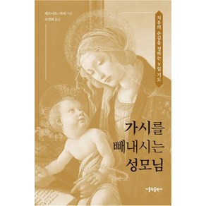 가시를 빼내시는 성모님:치유의 손길을 청하는 9일 기도