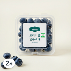 유기농 인증 프리미엄 블루베리 대과, 100g, 2개