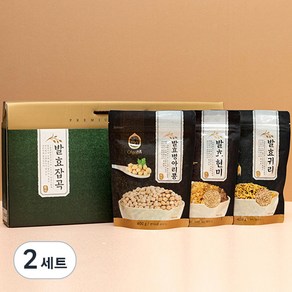 올고진 발효잡곡 400g 3종 2호, 2세트