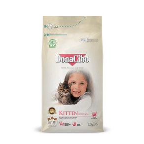 보나시보 12개월 이해 / 임신묘용 키튼 고양이 건식사료, 치킨 + 앤초비 + 라이스, 1.5kg, 1개