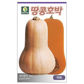 다농 땅콩호박씨앗 호박씨앗 10p