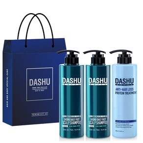 다슈 데일리 패스트 한방 두피 샴푸 500ml x 2p + 단백질 트리트먼트 500ml + 쇼핑백, 1세트