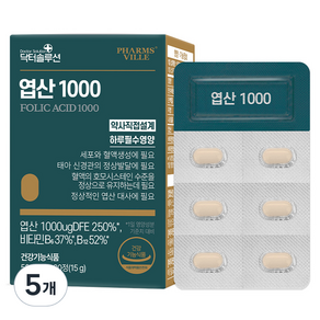 닥터솔루션 엽산1000 15g, 5개, 30정