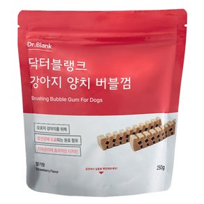 닥터블랭크 강아지 양치버블 덴탈껌, 딸기, 250g, 1개