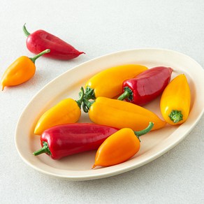 GAP 씨없는 안젤로 파프리카, 250g, 1개, 1개입