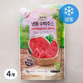 뉴뜨레 수박 주스 (냉동), 1kg, 4개