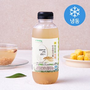 프레시오늘 안성엿기름 햇찹쌀 식혜, 500ml, 1개