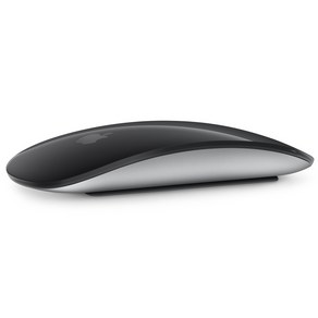 Apple 2021년 Magic Mouse