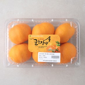 귤로장생 당도선별 레드향, 1.2kg(소과,6~8입), 1팩