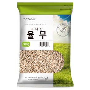 대구농산 건강한 밥상 국산 율무, 500g, 1개