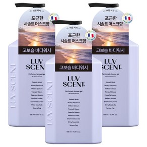 럽센트 어텀비치 바디워시 씨솔트머스크향, 500ml, 3개