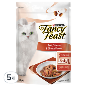 팬시피스트 어덜트 고양이 사료 쇠고기 연어 치즈맛, 450g, 5개