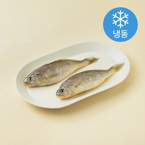 초록바다영어조합법인 참조기 2미 (냉동), 240g, 1개