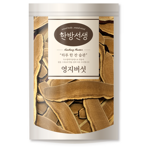 한방선생 절단 영지버섯, 200g, 1개