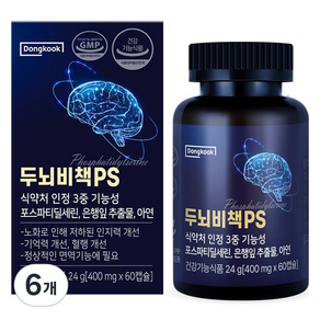 동국헬스케어홀딩스 동국 두뇌비책 PS 영양제 24g, 60정, 6개