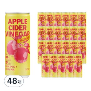 클룹 애사비소다 오리지널 제로, 48개, 250ml