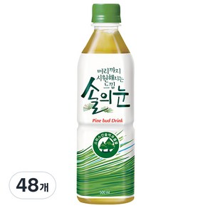 롯데칠성음료 솔의눈