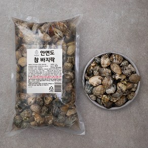 단디프레시 안면도 참바지락, 1kg, 1개