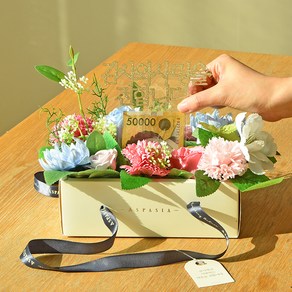 아스파시아 라비니아 카네이션 반전 용돈 박스 + 메세지픽 + 용돈비닐 20p + 쇼핑백 세트, 핑크, 1세트