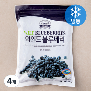 베리필드 캐나다산 와일드 블루베리 (냉동), 1kg, 4개