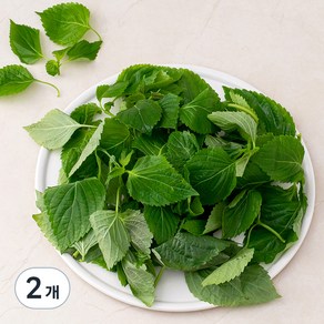 국내산 GAP 추부깻순, 200g, 2개