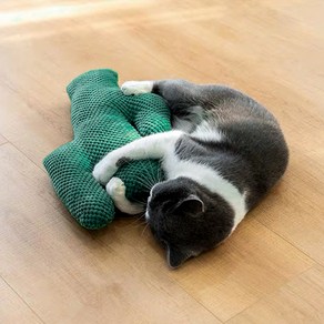 요기쏘 고양이 선인장 캣닢 인형