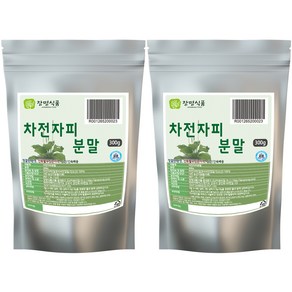 장명식품 차전자피가루, 300g, 2개