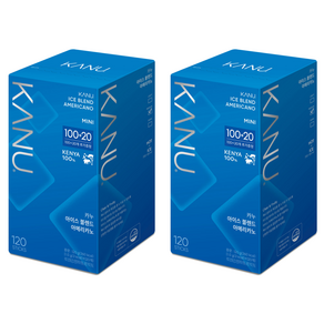카누 아이스 블렌드 아메리카노 커피믹스, 1g, 120개입, 2개