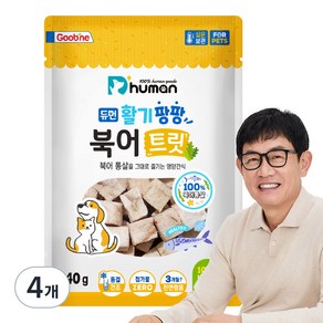 듀먼 반려동물 활기팡팡 트릿, 북어, 40g, 4개