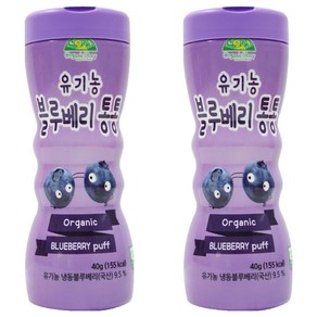 OganicStoy 유아용 유기농 블루베리통통 과자, 블루베리, 40g, 2개