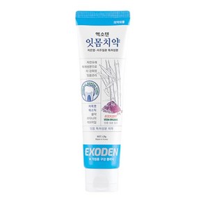 엑소덴 잇몸치약, 120g, 1개