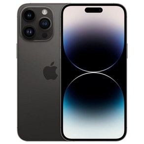 Apple 정품 아이폰 14 Po Max 자급제, 스페이스블랙, 1TB