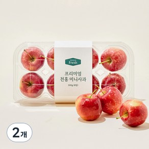 프리미엄 천홍 미니사과 8입, 500g, 2개