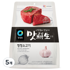 맛선생 청정 소고기, 120g, 5개